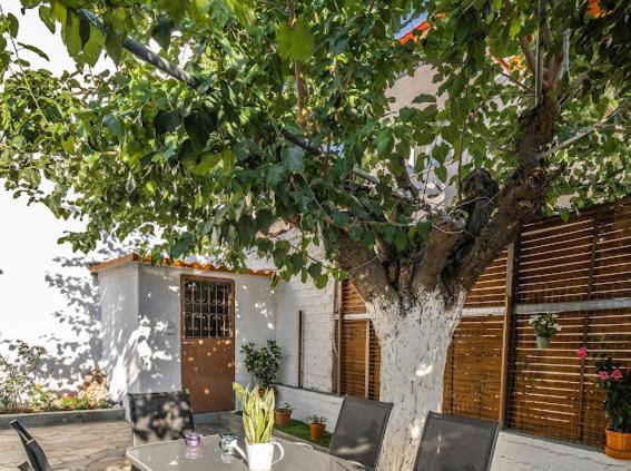 Filoxenia Pagonis Holiday home Vilia